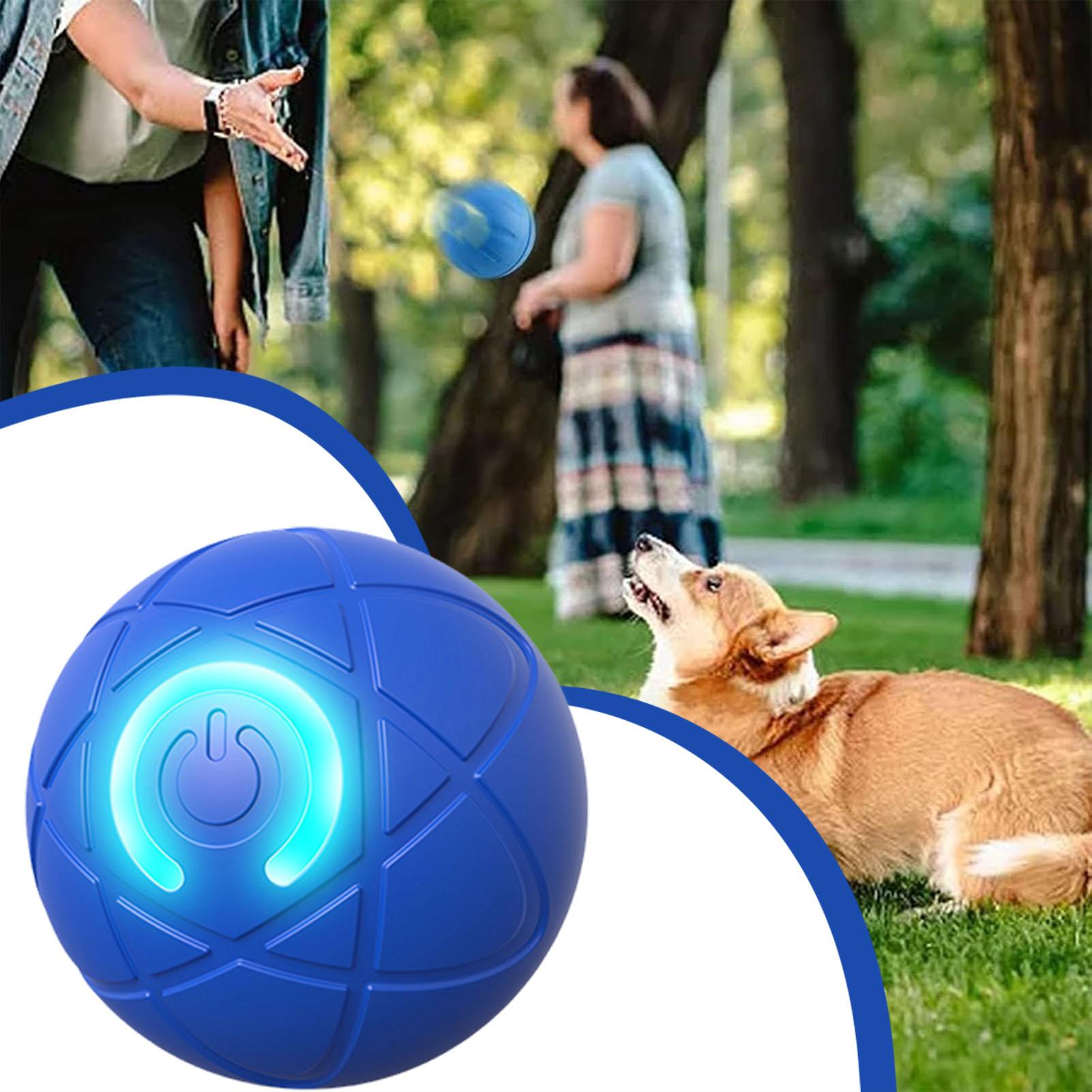 ของเล่นสุนัขอัจฉริยะ ลูกบอลอิเ - Automatic Moving Dog Ball บทวิจารณ์และราคา