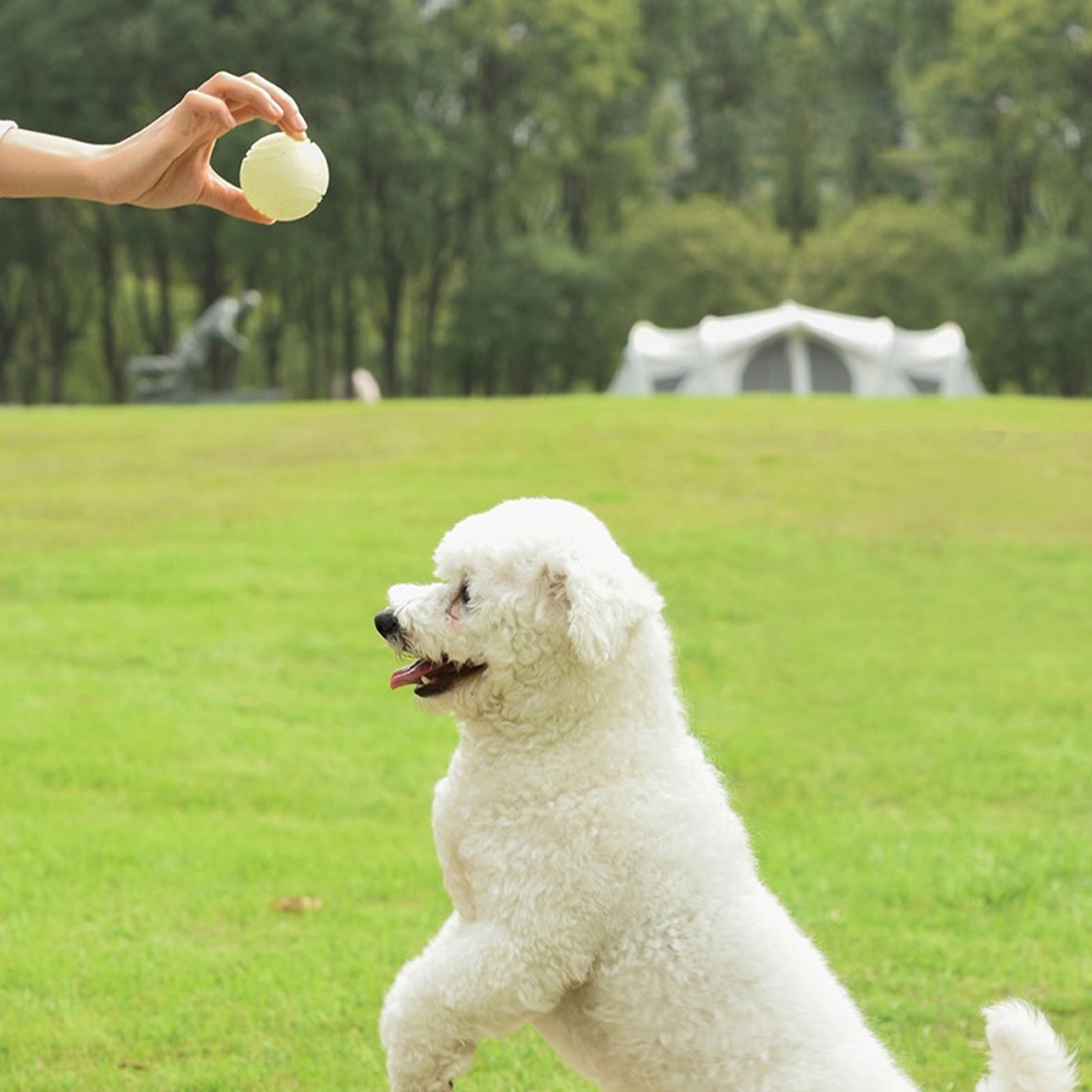 ของเล่นลูกบอลสำหรับสุนัข เรือง - Dog Rope Toy Aggressive Chewers บทวิจารณ์และราคา