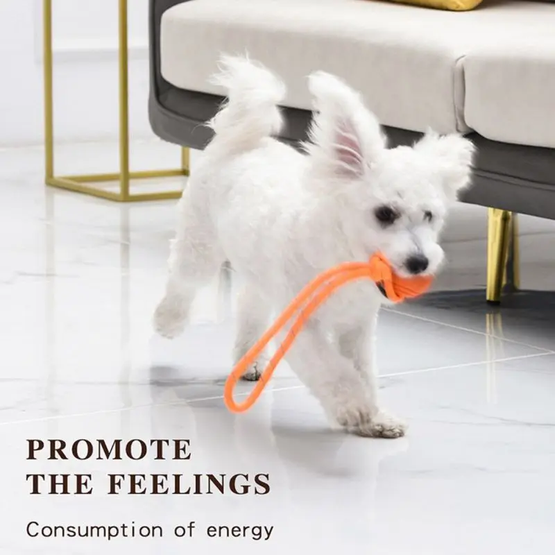 ลูกบอลสำหรับฝึกสุนัขของเล่นแบบ - Suction Cup Dog Tug Toy บทวิจารณ์และราคา