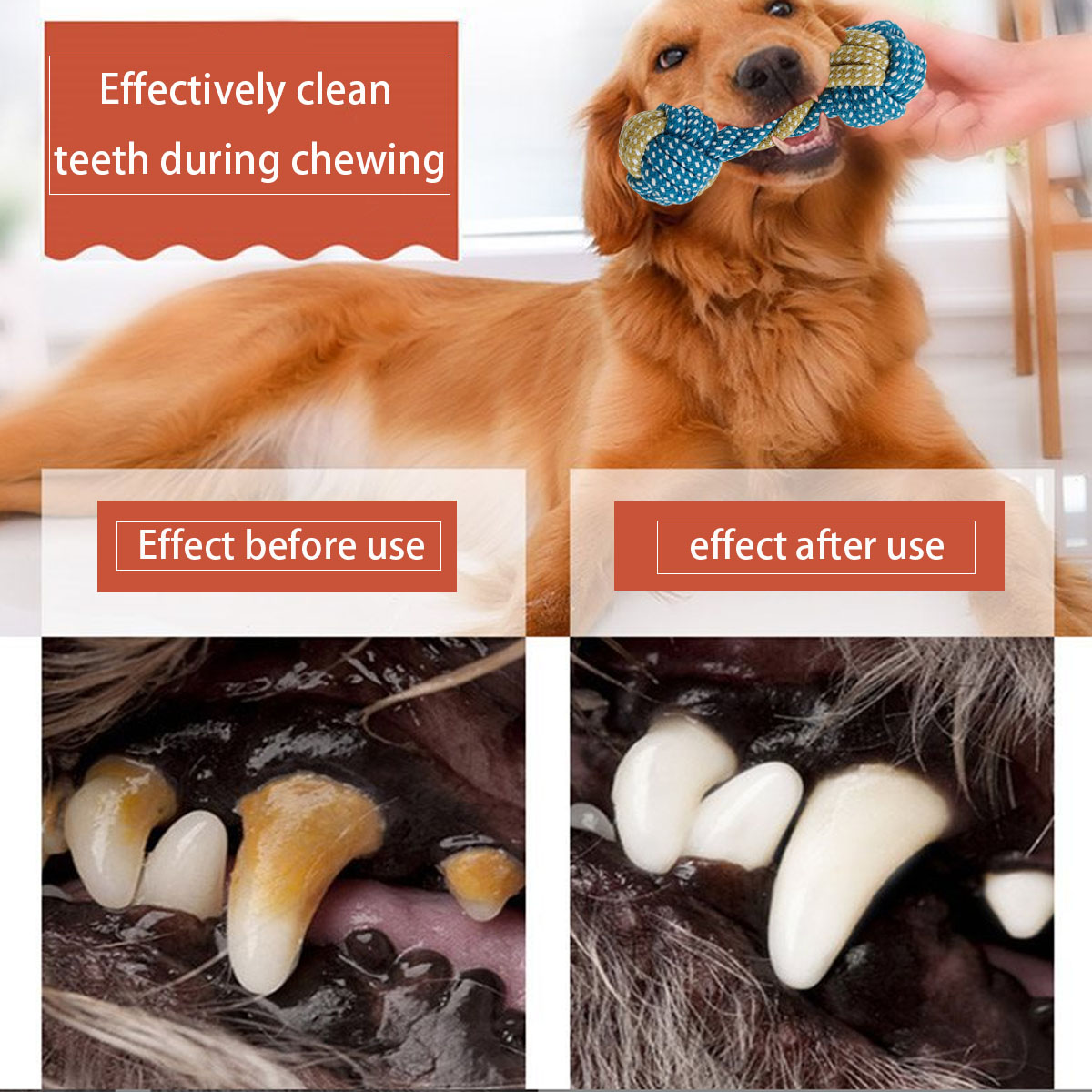 ของเล่นเชือกถักแบบผูกปมคู่สำหร - Teeth Cleaning Dog Chew Bone บทวิจารณ์และราคา