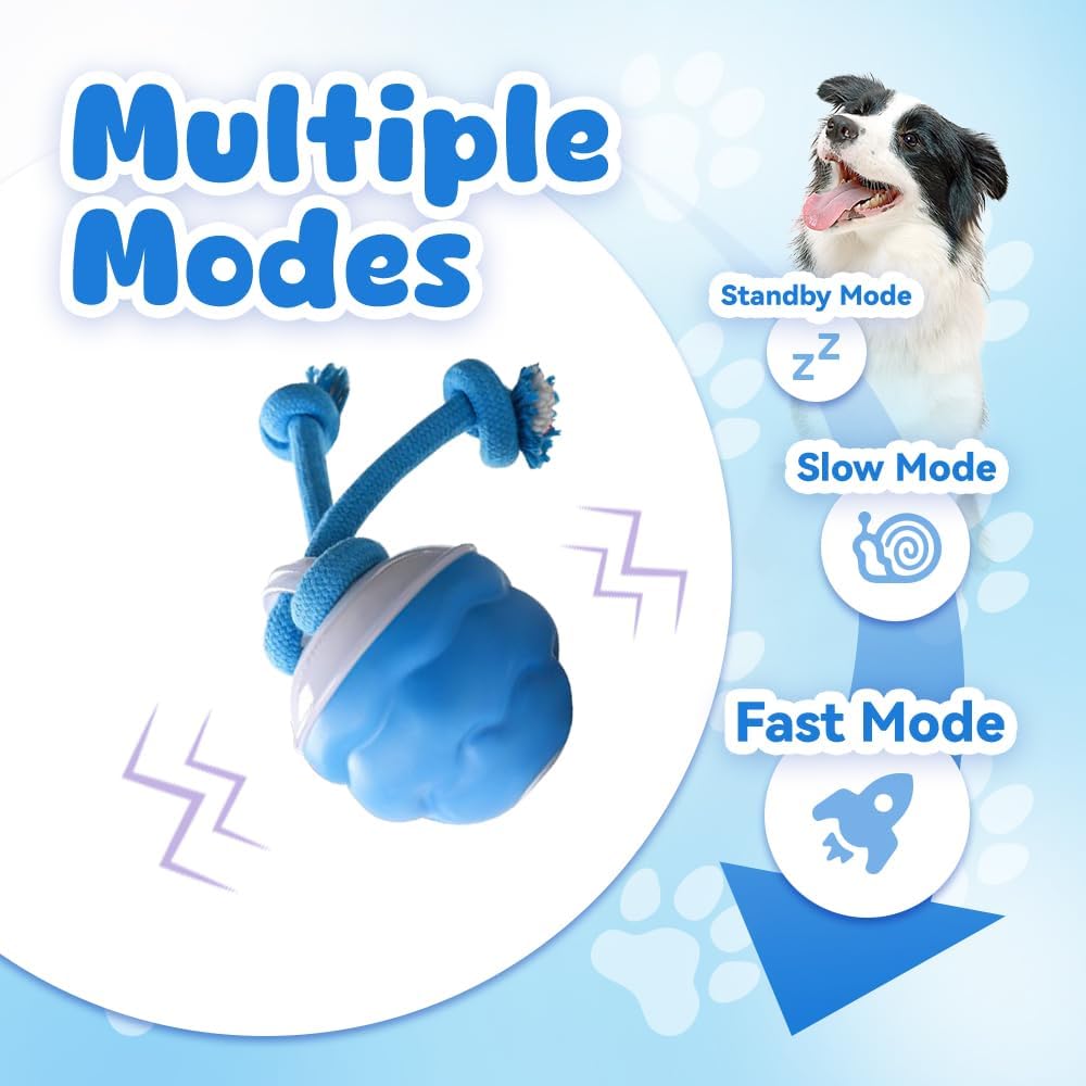 ของเล่นสุนัขอัจฉริยะ, ลูกบอลเค - Automatic Moving Dog Ball บทวิจารณ์และราคา