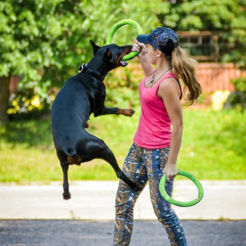 ของเล่นสุนัขของเล่นสัตว์เลี้ยง - Flying Disc Dog Training Toy บทวิจารณ์และราคา