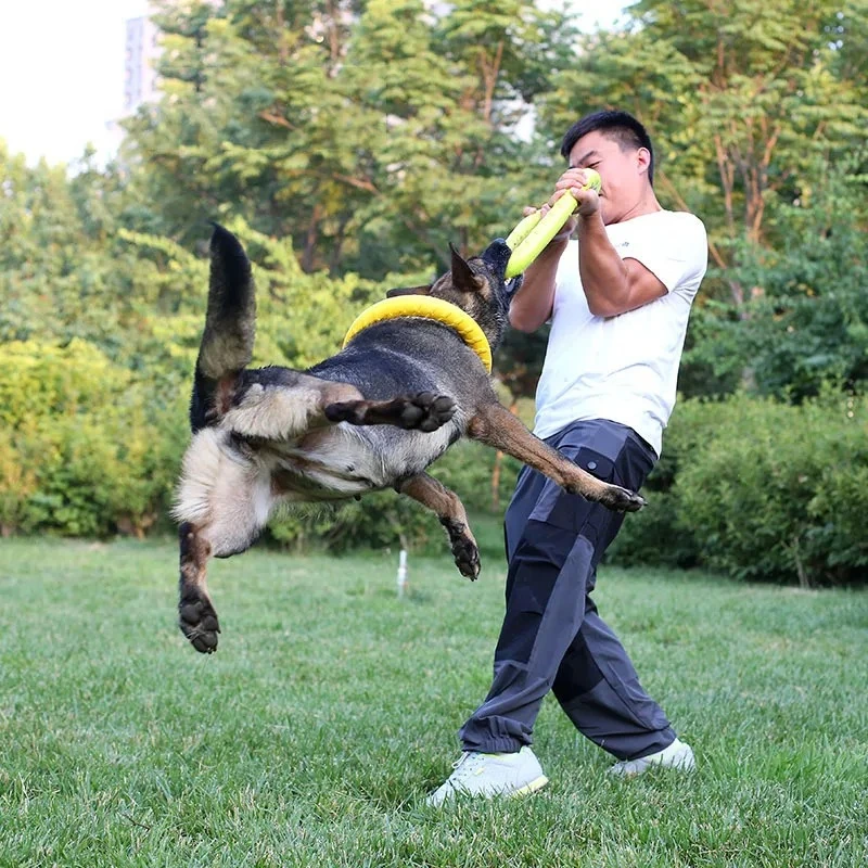 ของเล่นสุนัขของเล่นสัตว์เลี้ยง - Flying Disc Dog Training Toy บทวิจารณ์และราคา