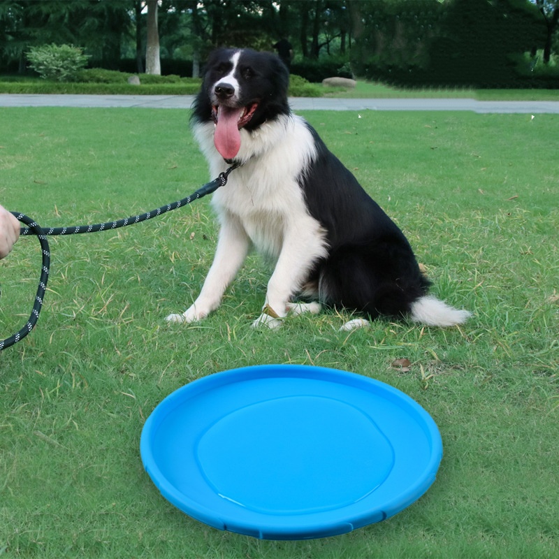 ของเล่นจานบินซิลิโคนแบบอินเทอร - Flying Disc Dog Training Toy บทวิจารณ์และราคา