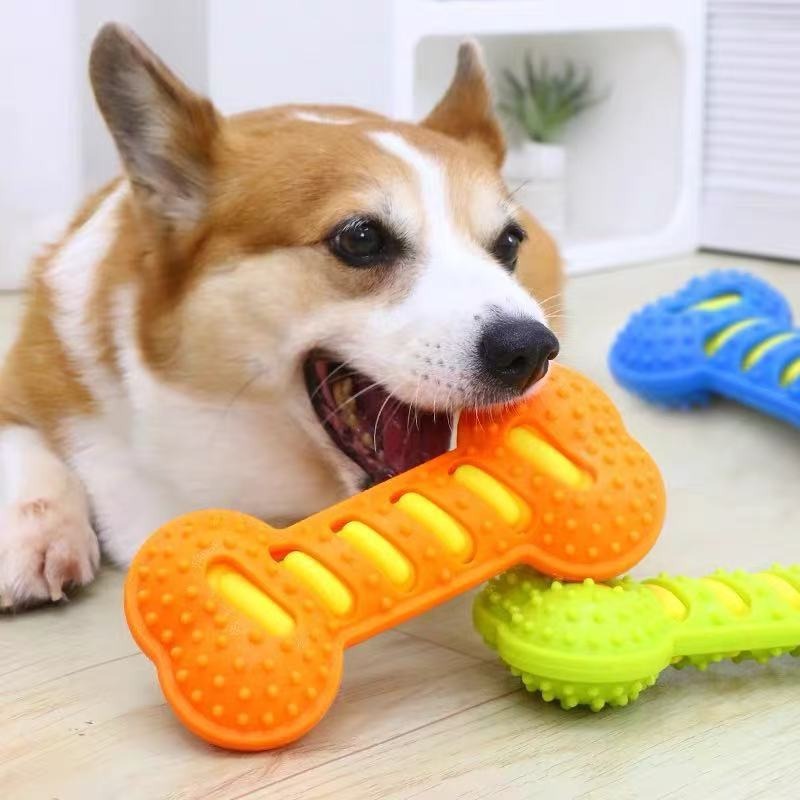 ของเล่นยางกัดสำหรับสุนัข ทนทาน - Teeth Cleaning Dog Chew Bone บทวิจารณ์และราคา