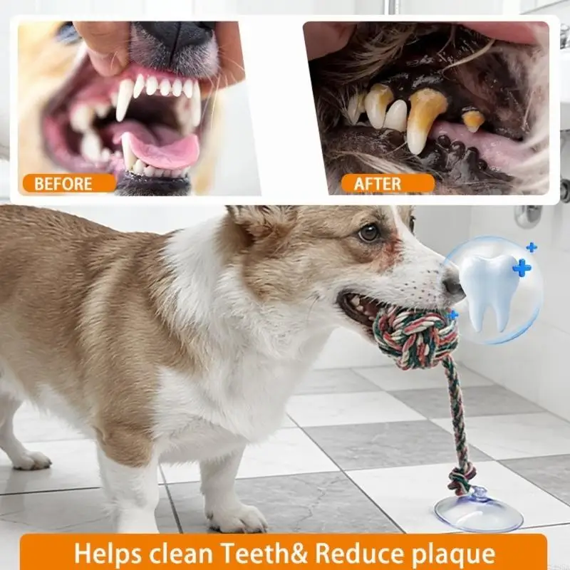 ของเล่นสุนัขแสนสนุกที่ปลอดภัยพ - Suction Cup Dog Tug Toy บทวิจารณ์และราคา