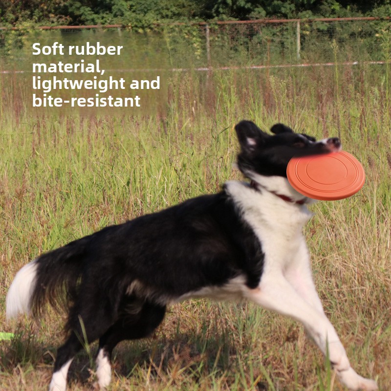 จานร่อนนุ่มสำหรับสัตว์เลี้ยง ท - Flying Disc Dog Training Toy บทวิจารณ์และราคา
