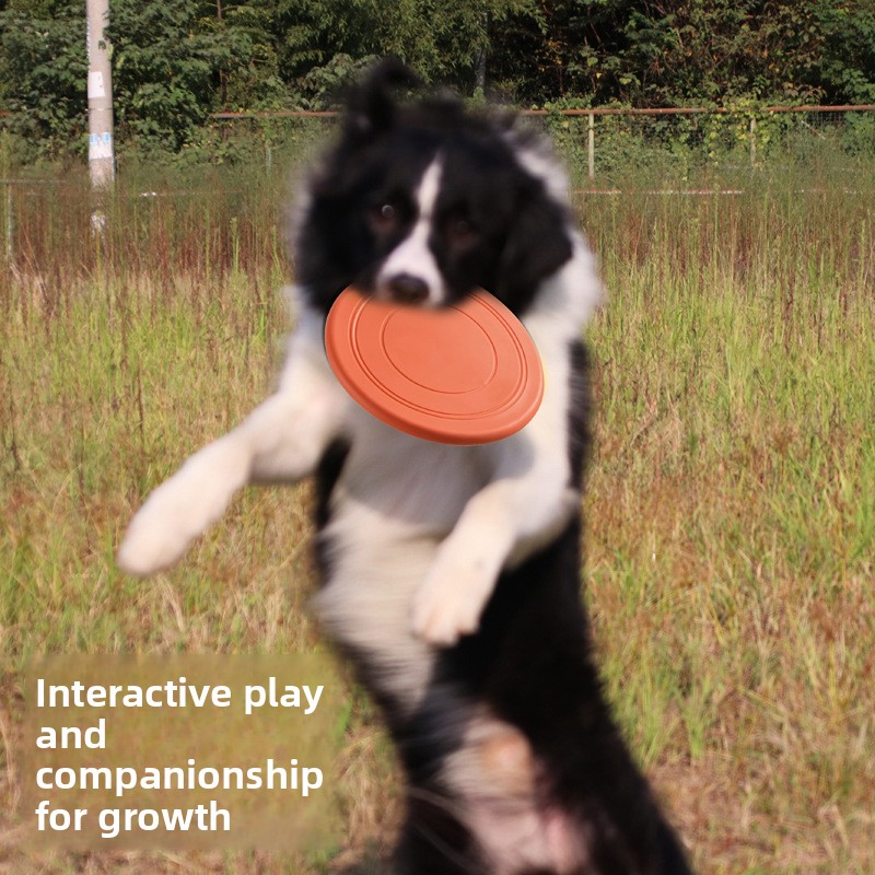 จานร่อนนุ่มสำหรับสัตว์เลี้ยง ท - Flying Disc Dog Training Toy บทวิจารณ์และราคา