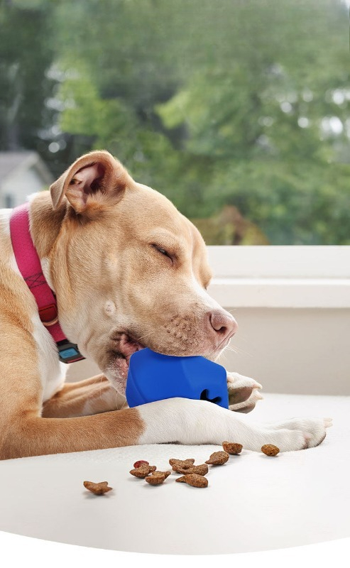ของเล่นยางทนทานสำหรับสุนัข ช่ว - Rubber Treat Dispensing Dog Toy บทวิจารณ์และราคา