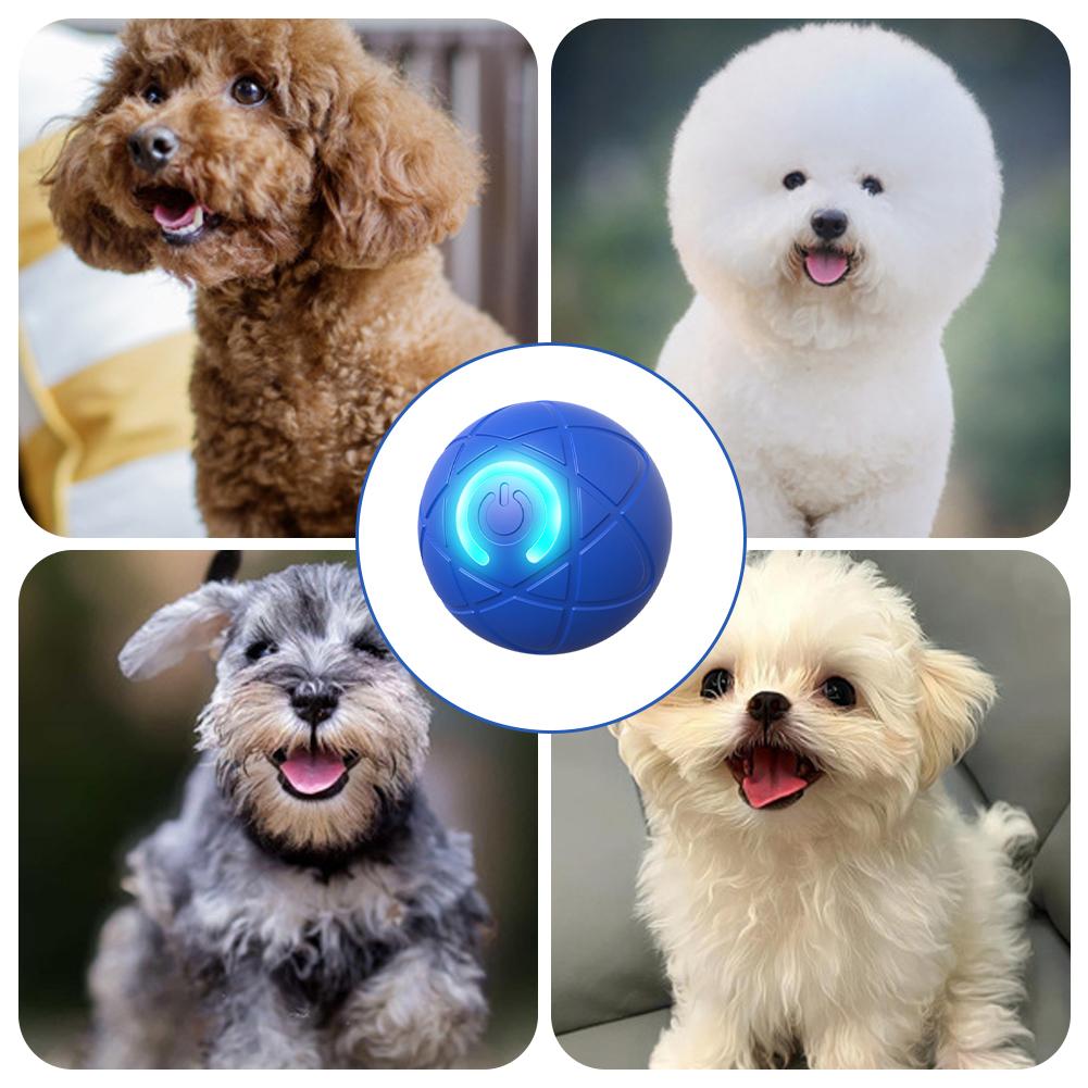 ของเล่นสัตว์เลี้ยงอิเล็กทรอนิก - Automatic Moving Dog Ball บทวิจารณ์และราคา
