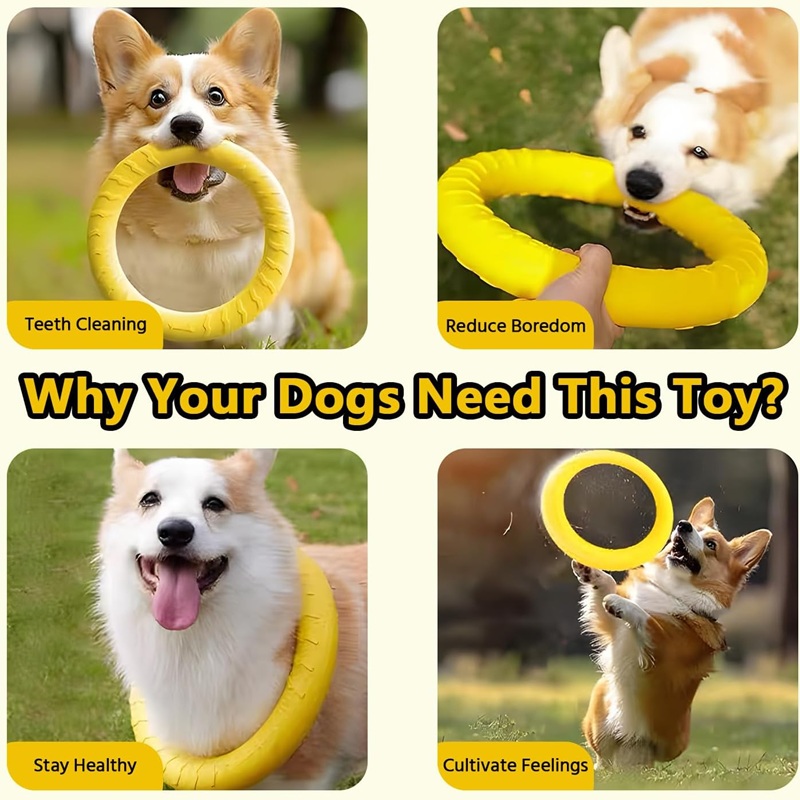 ของเล่นสุนัข จานบินสำหรับสัตว์ - Flying Disc Dog Training Toy บทวิจารณ์และราคา