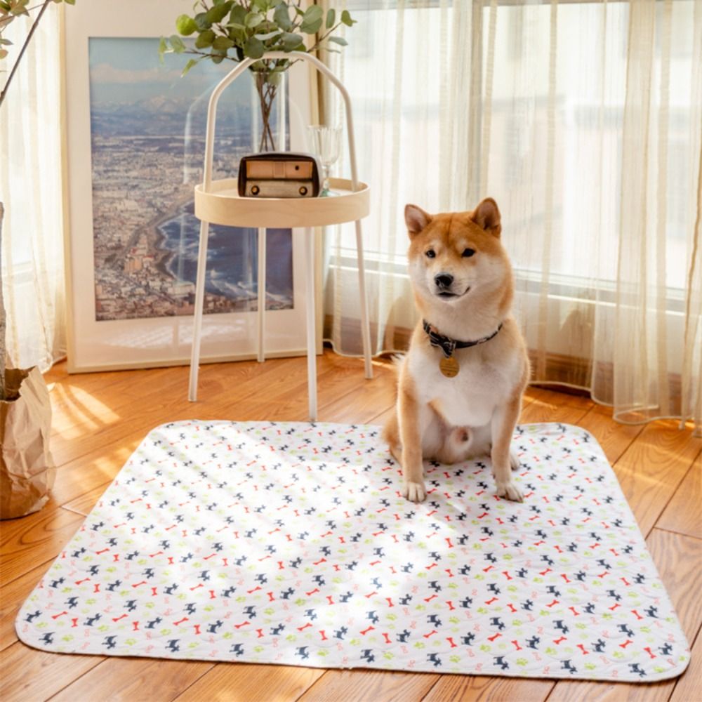 แผ่นรองนอนสัตว์เลี้ยงแบบซึมซับ - Pet Beds บทวิจารณ์และราคา
