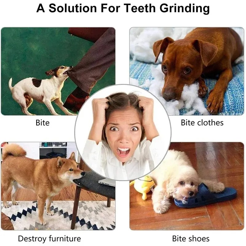 ลูกบอลของเล่นสำหรับสุนัข 1 ชิ้ - Rubber Treat Dispensing Dog Toy บทวิจารณ์และราคา
