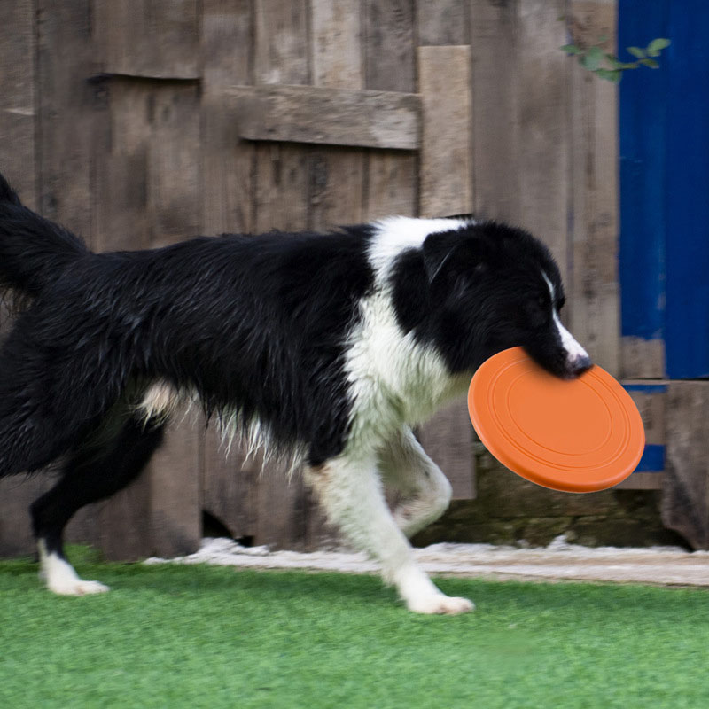 ซิลิโคน Flying Saucer สุนัขตลก - Flying Disc Dog Training Toy บทวิจารณ์และราคา