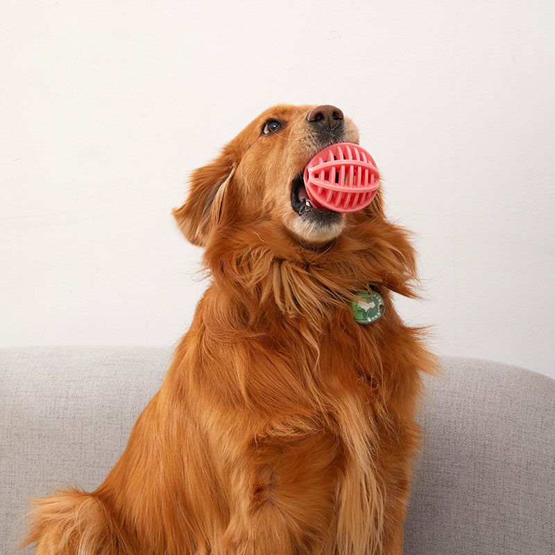 ของเล่นบอลยางทนทานสำหรับสุนัข  - Rubber Treat Dispensing Dog Toy บทวิจารณ์และราคา