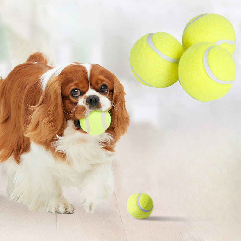 ของเล่นยางรูปทรงลูกเทนนิสแบบมี - Interactive Squeaky Plush Dog Toy บทวิจารณ์และราคา