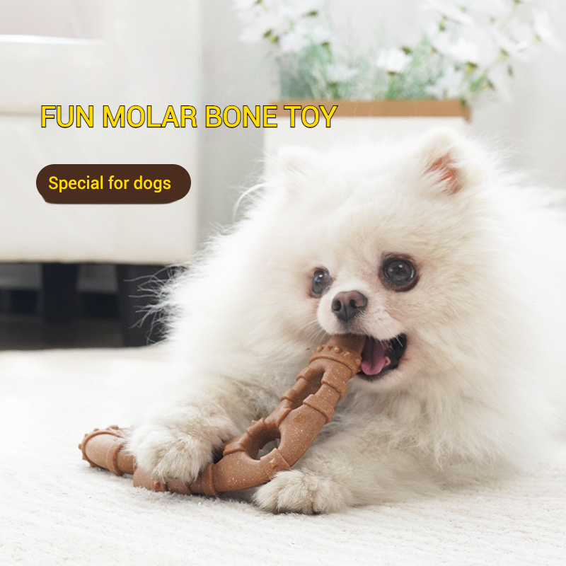 ของเล่นสุนัขรูปฟันกรามทำจากวัส - Teeth Cleaning Dog Chew Bone บทวิจารณ์และราคา