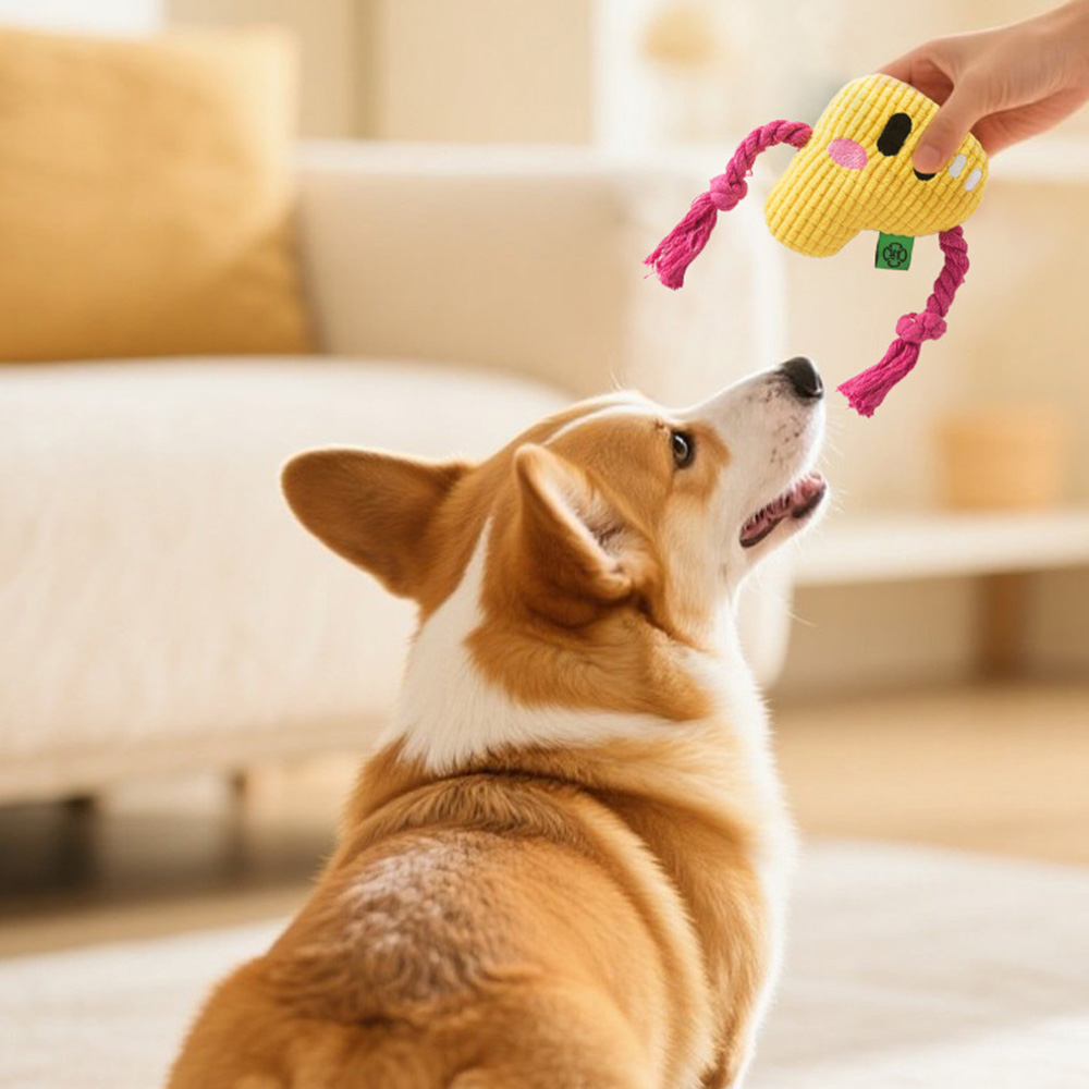ของเล่นเคี้ยวสำหรับสุนัข - เชื - Dog Rope Toy Aggressive Chewers บทวิจารณ์และราคา