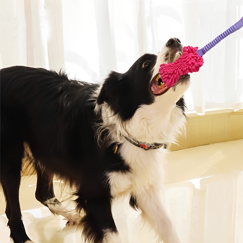 ของเล่นสุนัขที่ทนทานสำหรับสุนั - Dog Rope Toy Aggressive Chewers บทวิจารณ์และราคา