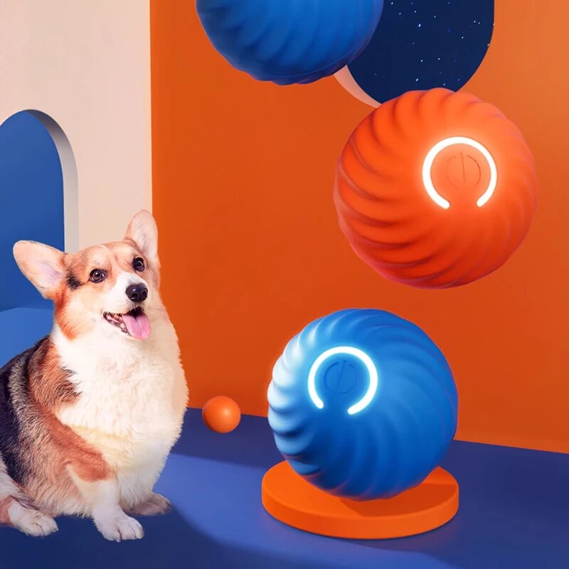 ของเล่นสุนัขอัจฉริยะแรงโน้มถ่ว - Suction Cup Dog Tug Toy บทวิจารณ์และราคา