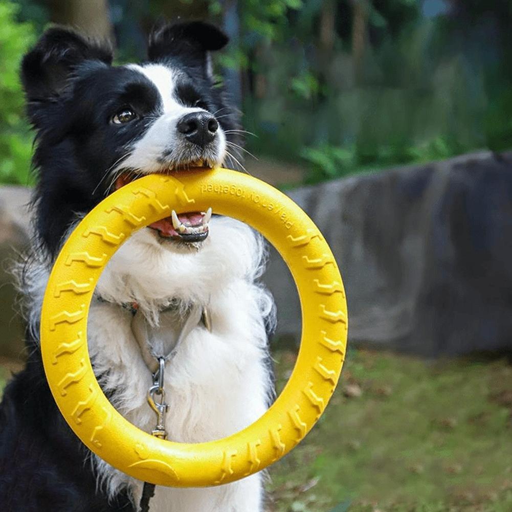 ของเล่นห่วงสำหรับสุนัข ทนทานต่ - Indestructible Dog Chew Toy บทวิจารณ์และราคา