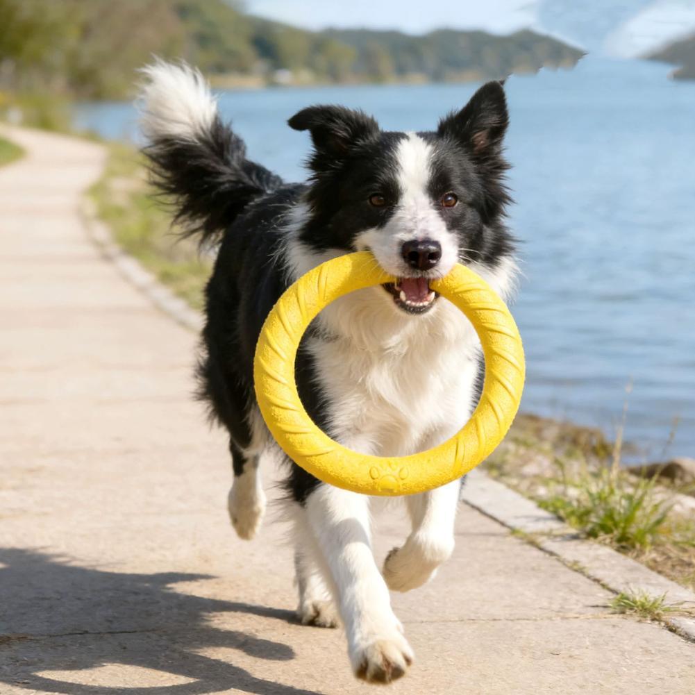 ของเล่นห่วงสำหรับสุนัข ทนทานต่ - Indestructible Dog Chew Toy บทวิจารณ์และราคา