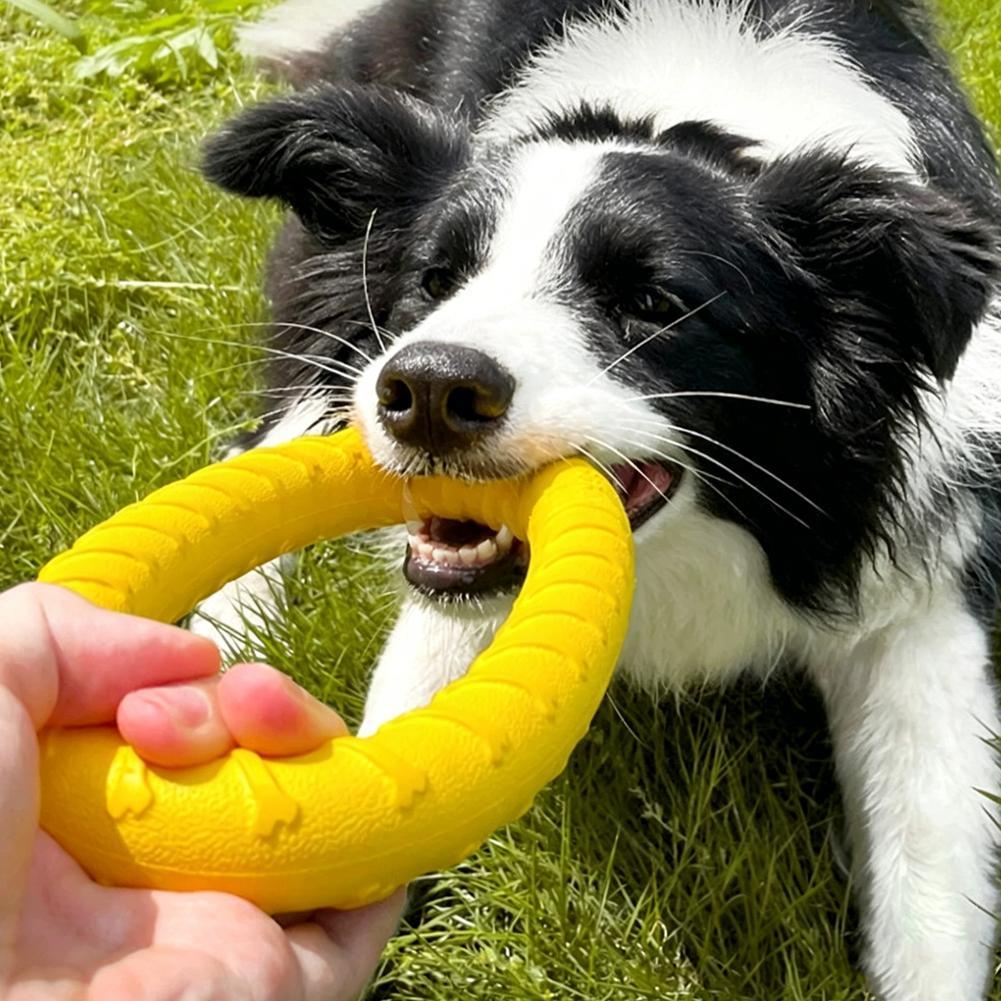 ของเล่นห่วงสำหรับสุนัข ทนทานต่ - Indestructible Dog Chew Toy บทวิจารณ์และราคา