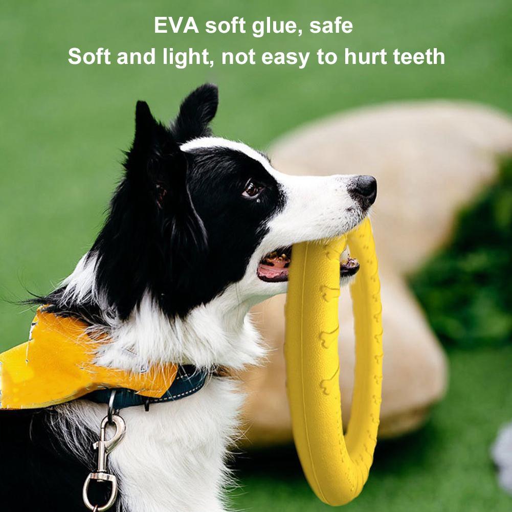 ของเล่นห่วงสำหรับสุนัข ทนทานต่ - Indestructible Dog Chew Toy บทวิจารณ์และราคา