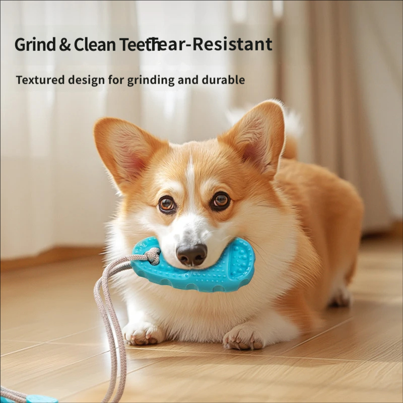 ของเล่นดึงเชือกสำหรับสุนัขแบบม - Suction Cup Dog Tug Toy บทวิจารณ์และราคา