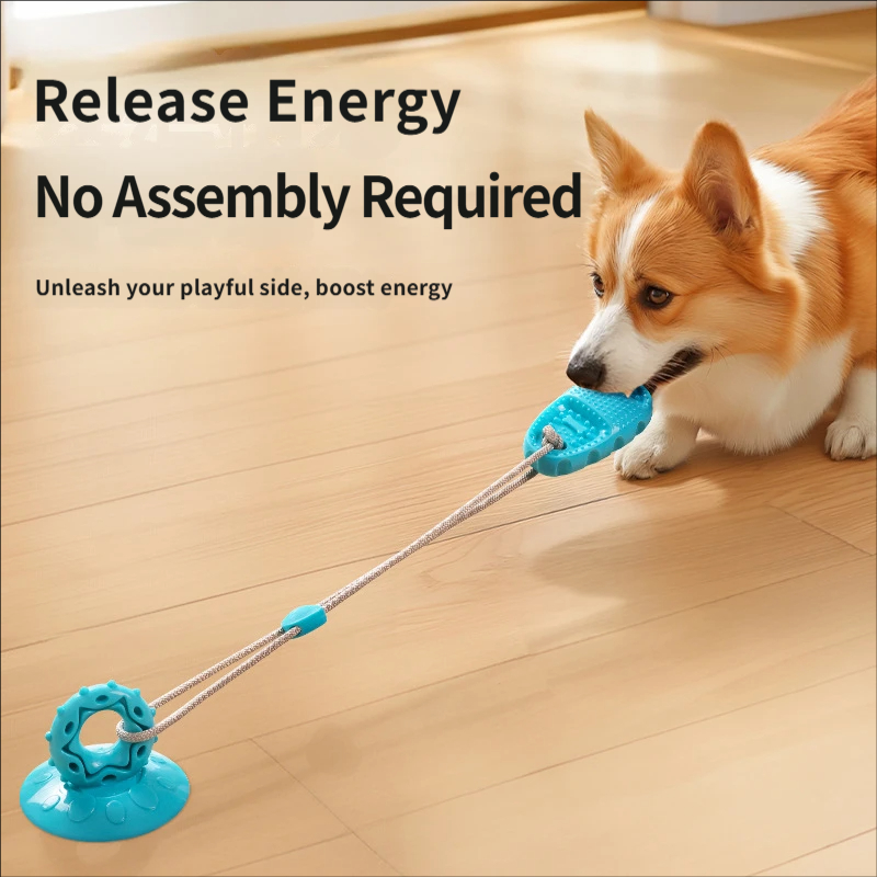 ของเล่นดึงเชือกสำหรับสุนัขแบบม - Suction Cup Dog Tug Toy บทวิจารณ์และราคา