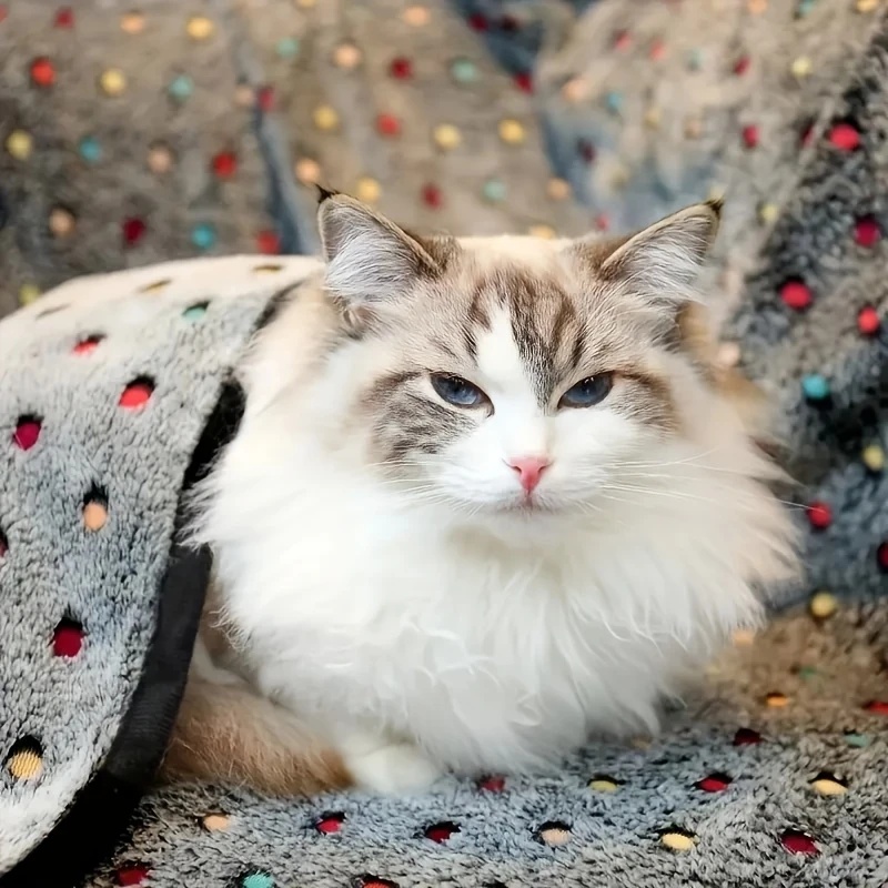 3PCS Soft Fluffy ผ้าห่มสัตว์เล - Pet Beds บทวิจารณ์และราคา