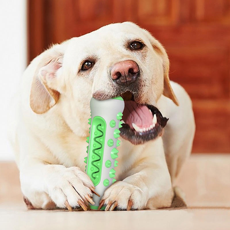 ของเล่นเคี้ยวสำหรับสุนัข TPR แ - Teeth Cleaning Dog Chew Bone บทวิจารณ์และราคา