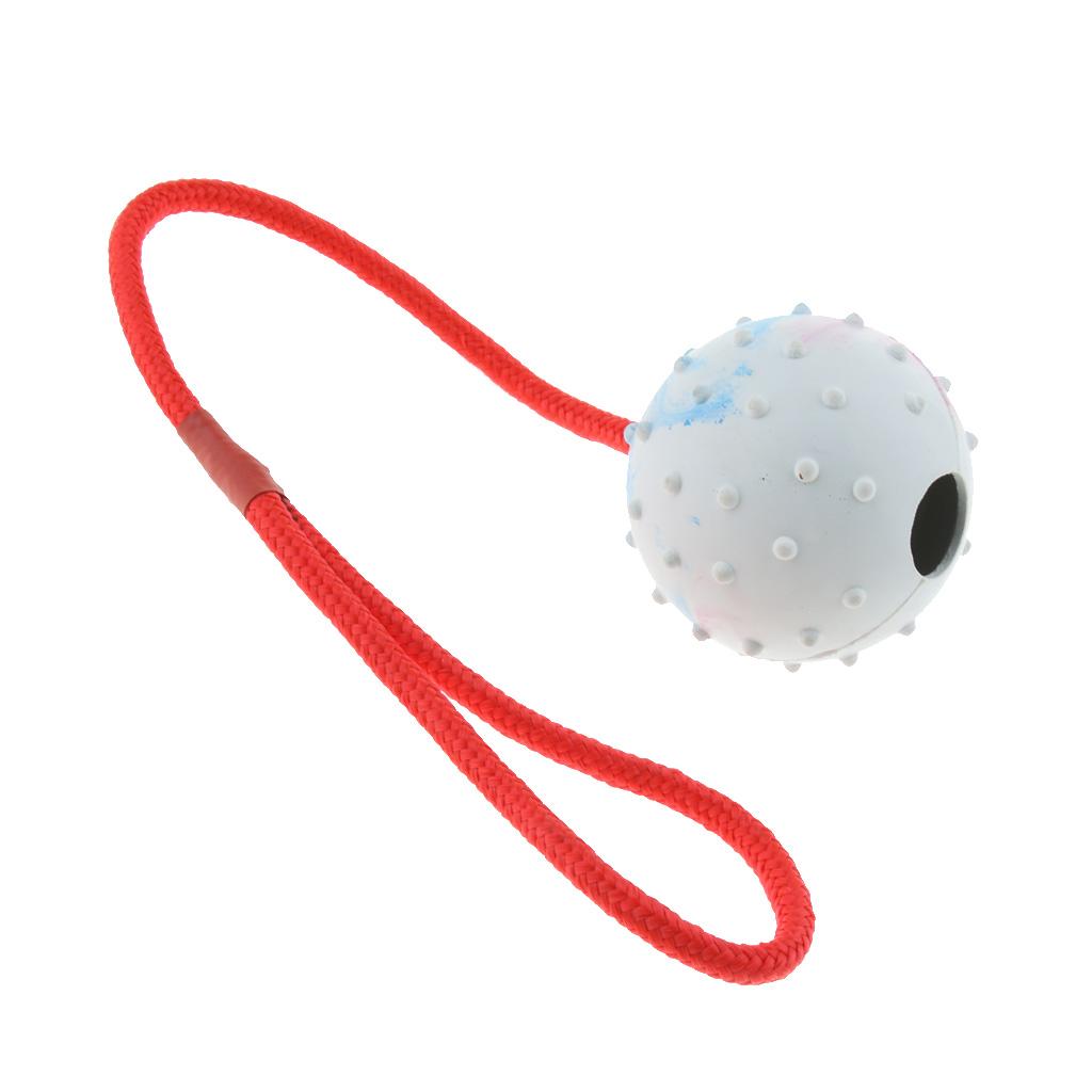 ของเล่นฝึกสัตว์เลี้ยง ลูกบอลยา - Rubber Treat Dispensing Dog Toy บทวิจารณ์และราคา