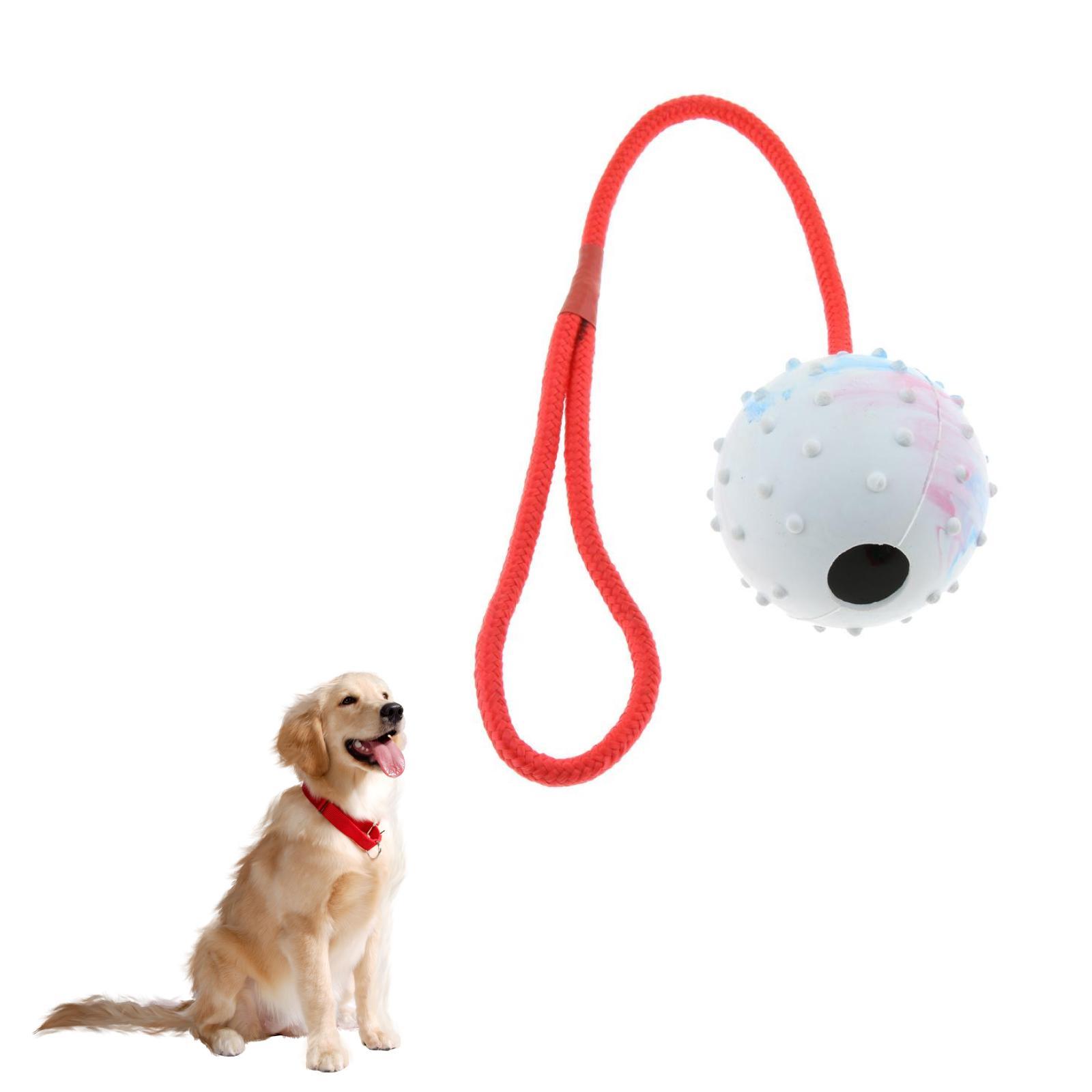ของเล่นฝึกสัตว์เลี้ยง ลูกบอลยา - Rubber Treat Dispensing Dog Toy บทวิจารณ์และราคา