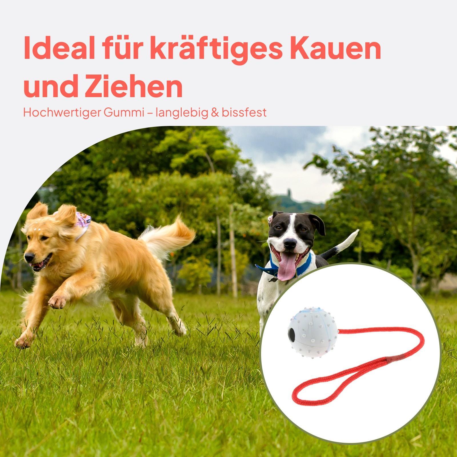 ของเล่นฝึกสัตว์เลี้ยง ลูกบอลยา - Rubber Treat Dispensing Dog Toy บทวิจารณ์และราคา